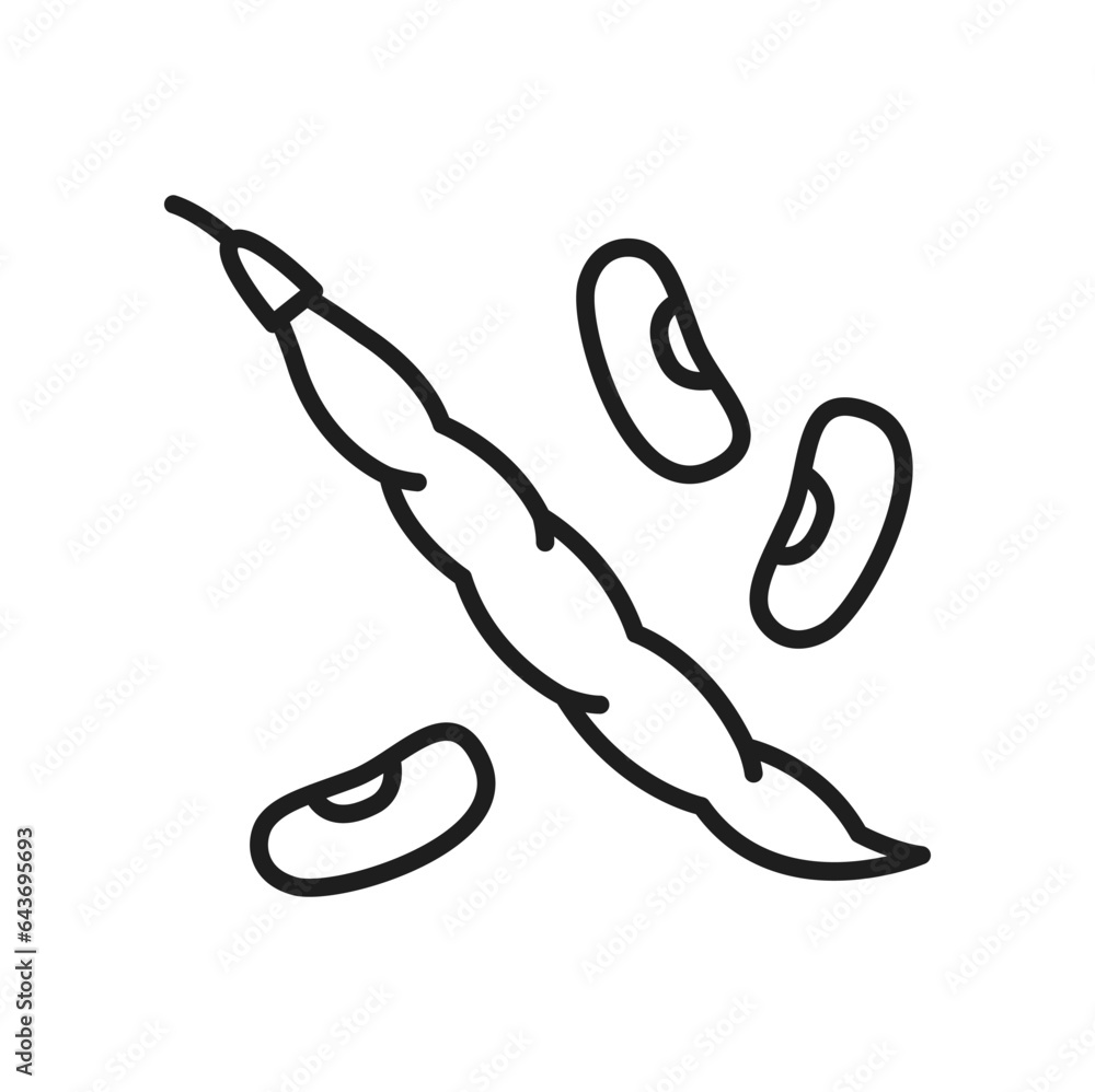 Pod of pea or kidney bean legume pod isolated vegetarian food thin line