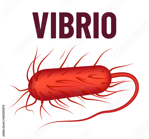 Vibrio bacteria vector illustration isolated on white background. Virus concept