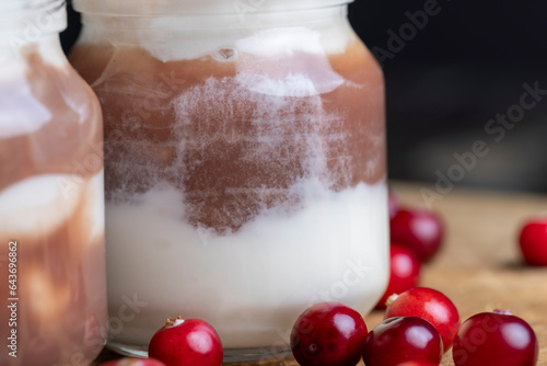 Yogurt with plum jam in a jar photo