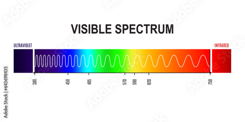 Wavelength, visible light spectrum wave from ultraviolet to infrared frequency. Physics and electromagnetic vector infographics with rainbow colors gradient chart or diagram of human eye visible light