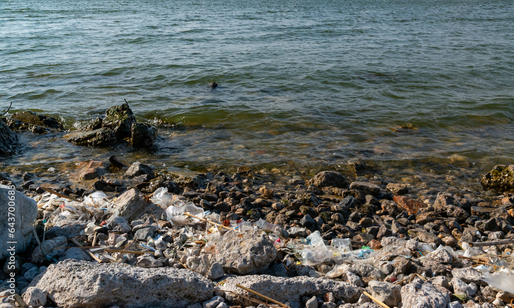 Plastic garbage and microplastics on the shore of Khadzhibey Estuary