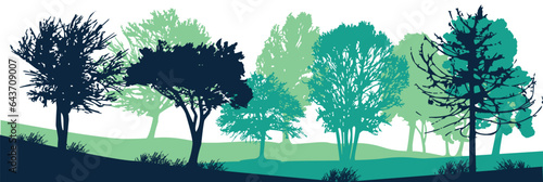 Forest, park, alley. Landscape of isolated trees. Silhouette vector