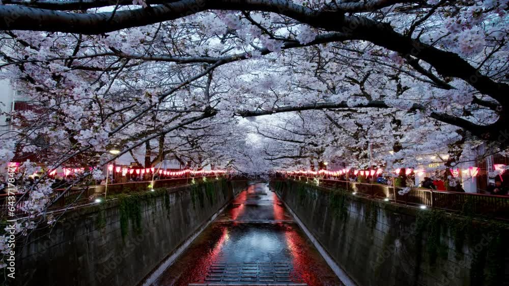 Sakura trees at Naka Meguro River Day-to-Night Time Lapse Sakura trees at Naka Meguro River Day-to-Night Time Lapse