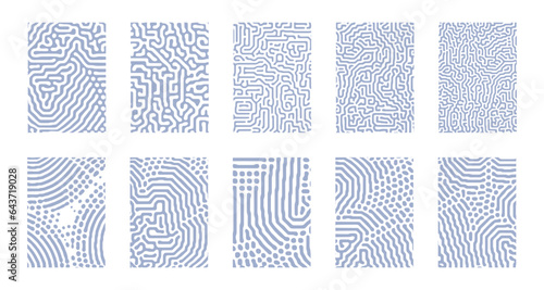 Set of abstract prints for interior decoration. Vector illustration. Diffusion reaction organic patterns. Abstract backgrounds with biological maze shapes