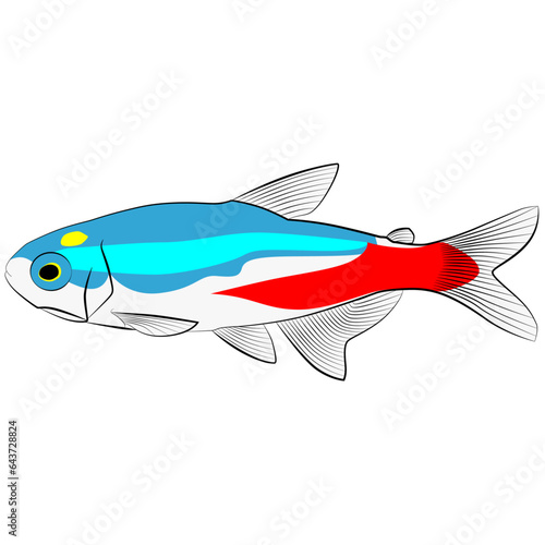 Neon tetra, Paracheirodon innesi aquarium tropical freshwater fish. characin family  freshwater fish graphic illustrations aquarium fish