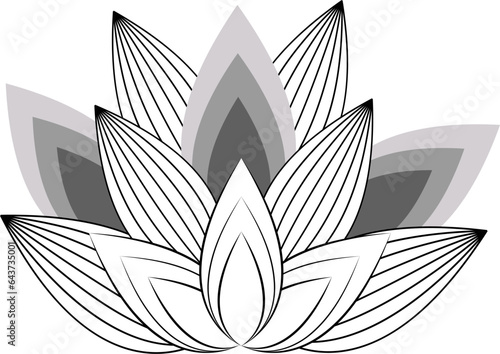 Floral stylized element, lotus flower