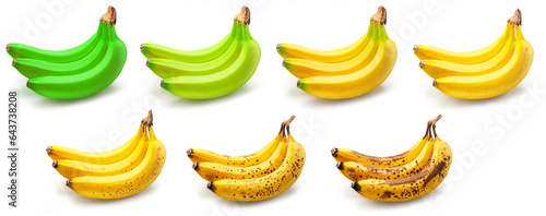 Set of banana bunches in different ripening stages isolated on white background. Food concept.