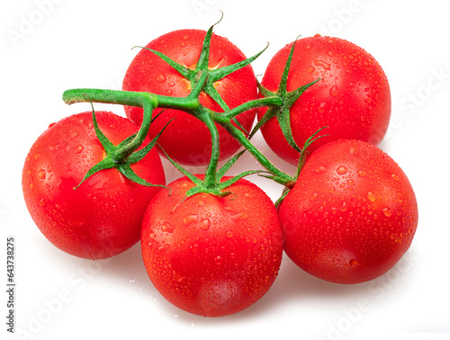 Red campari tomatoes with water drops. Tomato branch isolated on white background. Macro shot. photo