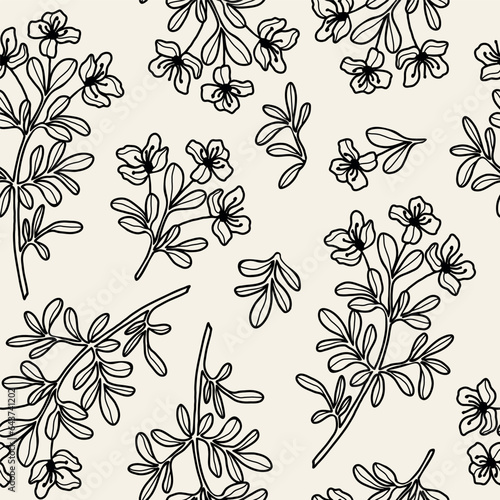 Hand drawn rue plant seamless pattern