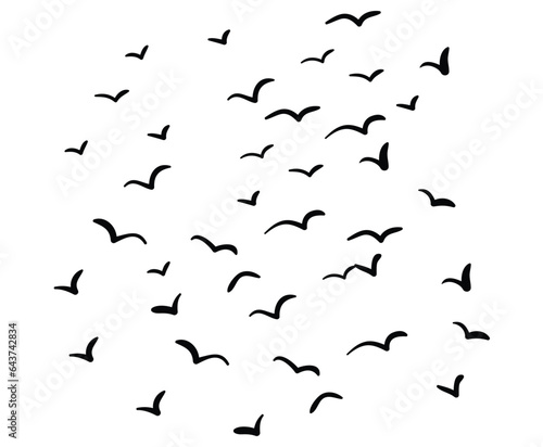 flying birds flock silhouette