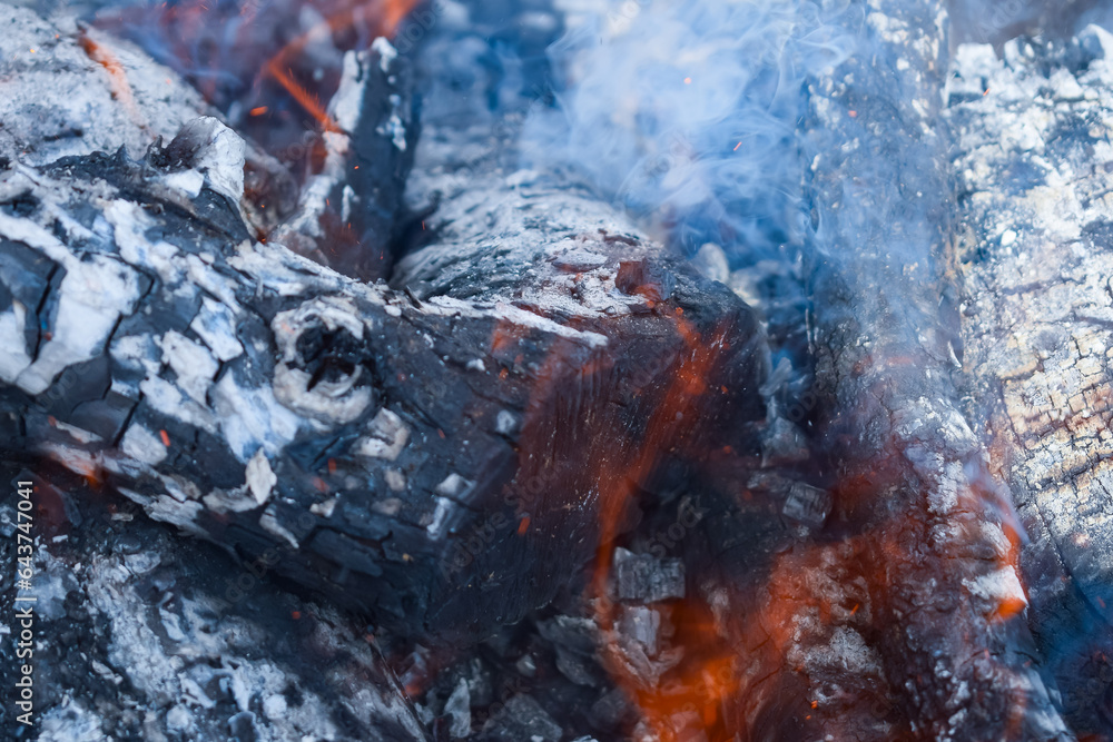 Firewood burning in the brazier, smoldering log coals