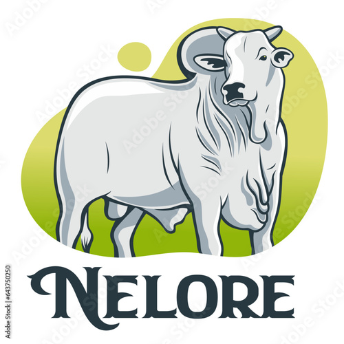 NELORE VERDE VERDE