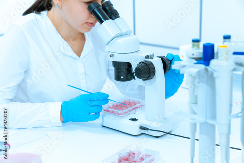 Photography Embryo development examination: Microscopes enable studying the proces