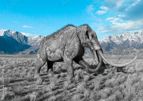 mammoth is walking in plains and mountains