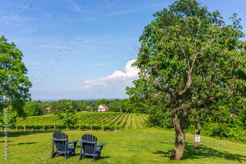 Schilderij op canvas Vineyard Landscape and Adirondack Chairs niagara on the lake, winery