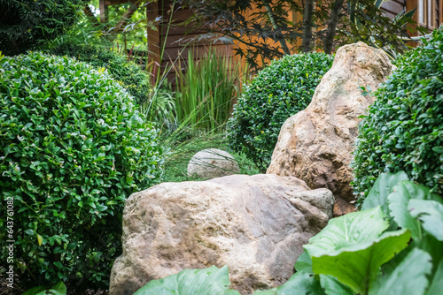 cut bushes into clouds Japanese garden photo