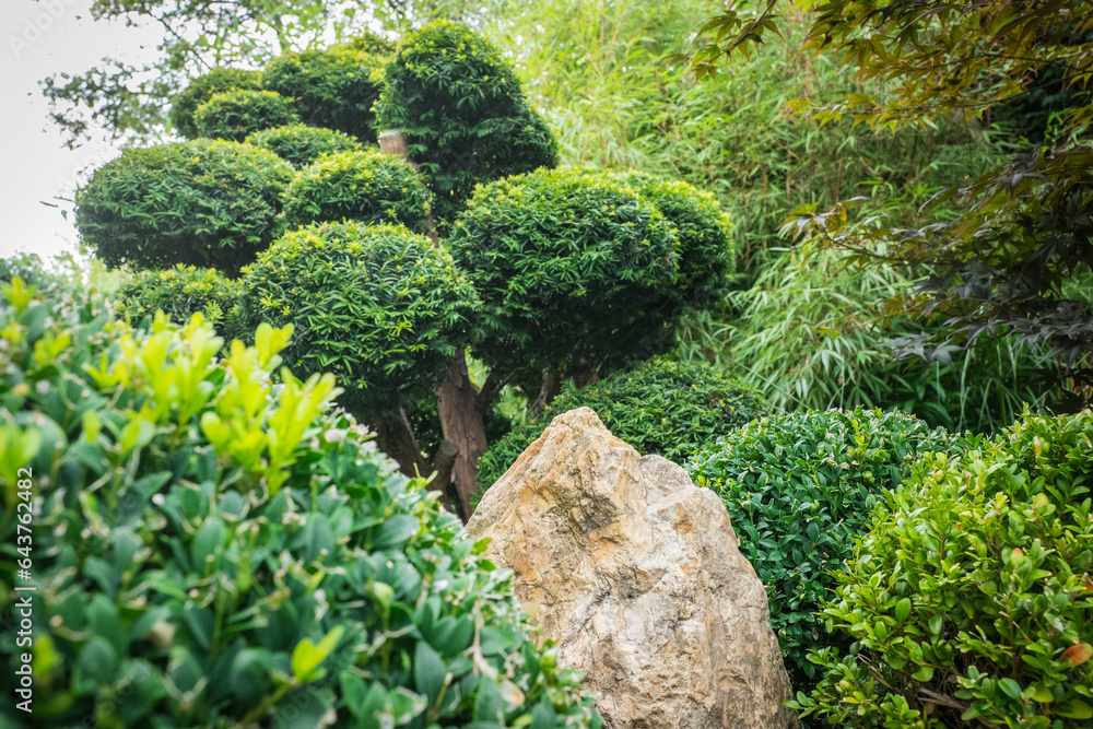 Naklejka premium cut bushes into clouds Japanese garden