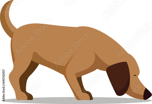 Sniffing dog flat style vector illustration, Hunter dog sniffing the ground flat style stock vector image