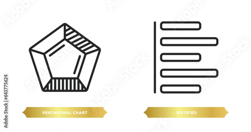 two editable outline icons from user interface concept. thin line icons such as pentagonal chart, justified vector.