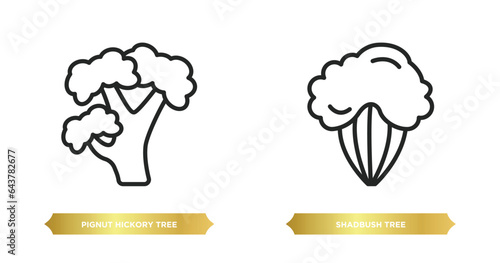 two editable outline icons from nature concept. thin line icons such as pignut hickory tree, shadbush tree vector. photo