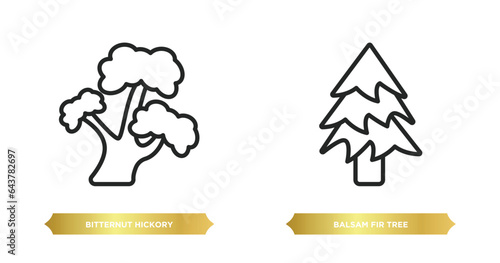 two editable outline icons from nature concept. thin line icons such as bitternut hickory tree, balsam fir tree vector.