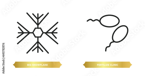 two editable outline icons from nature concept. thin line icons such as big snowflake, fertilize clinic vector.
