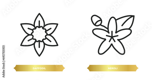 two editable outline icons from nature concept. thin line icons such as daffodil, neroli vector.