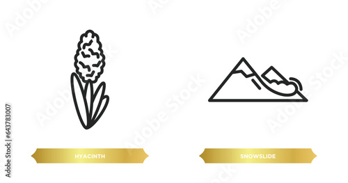 two editable outline icons from nature concept. thin line icons such as hyacinth, snowslide vector.