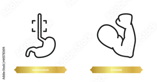 two editable outline icons from medical concept. thin line icons such as esophagus, strong vector.