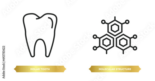 two editable outline icons from medical concept. thin line icons such as molar tooth, molecular structure vector.