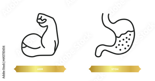 two editable outline icons from medical concept. thin line icons such as arm, stoh vector.