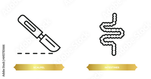 two editable outline icons from medical concept. thin line icons such as scalpel, intestines vector.