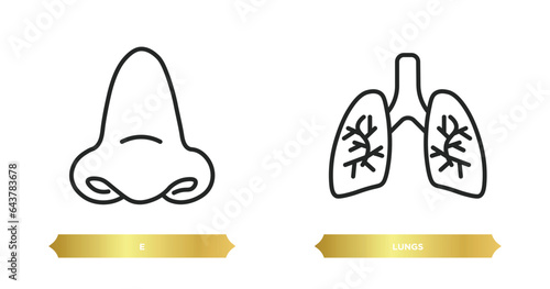 two editable outline icons from medical concept. thin line icons such as e, lungs vector. photo