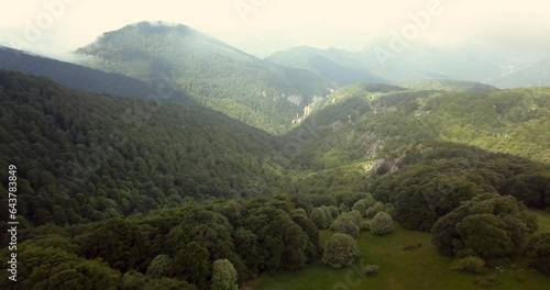 Forêt de Saou