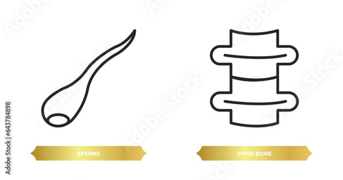 two editable outline icons from human body parts concept. thin line icons such as sperms, spine bone vector.
