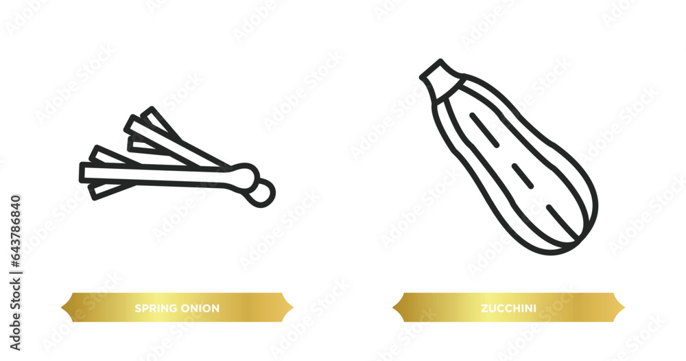 two editable outline icons from fruits and vegetables concept. thin line icons such as spring onion, zucchini vector.