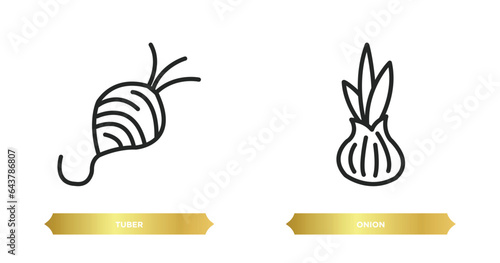 two editable outline icons from fruits and vegetables concept. thin line icons such as tuber, onion vector.