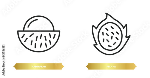 two editable outline icons from fruits and vegetables concept. thin line icons such as rambutan, pitaya vector.