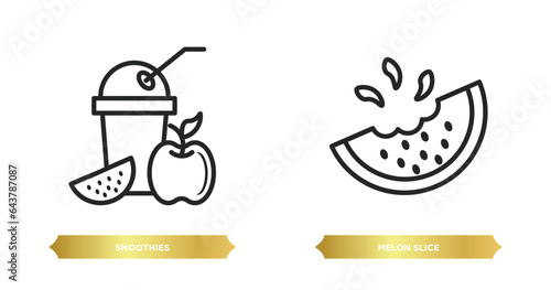 two editable outline icons from food concept. thin line icons such as smoothies, melon slice vector.