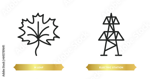 two editable outline icons from ecology concept. thin line icons such as m leaf, electric station vector.