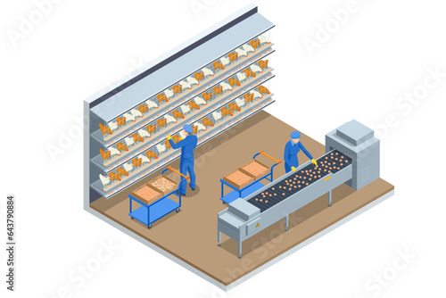 Isometric Indoors Chicken Farm, Chicken Feeding. Chicken Hens Eggs in Farm. Poultry Farm Web Banner