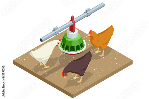Isometric Indoors Chicken Farm, Chicken Feeding. Poultry Farm Web Banner