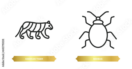 two editable outline icons from animals concept. thin line icons such as siberian tiger, bedbug vector.