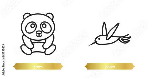 two editable outline icons from animals concept. thin line icons such as panda, colibri vector.