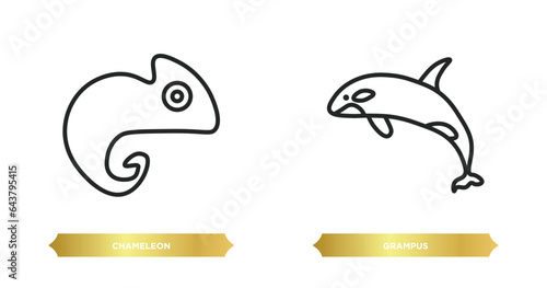 two editable outline icons from animals concept. thin line icons such as chameleon, grampus vector.