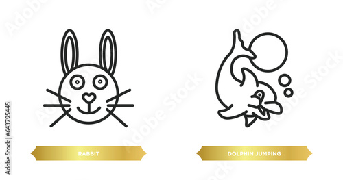 two editable outline icons from animals concept. thin line icons such as rabbit, dolphin jumping vector.