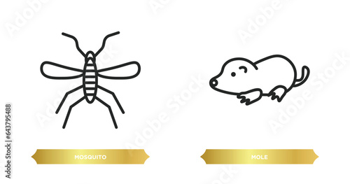 two editable outline icons from animals concept. thin line icons such as mosquito, mole vector.