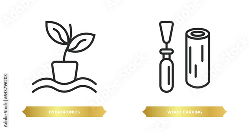 two editable outline icons from activity and hobbies concept. thin line icons such as hydroponics, wood carving vector.