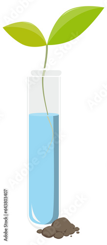 Wallpaper Mural Last plant from a test tube Torontodigital.ca