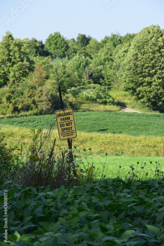 biological farm field 